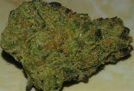 Skal vi landmænd vedblive at finde os i at være hele det øvrige samfunds skarnkasse med daglige udskældning for miljøforurening og … Monster Cookies Weed Strain Information Leafly