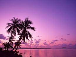 Check spelling or type a new query. Purple Sunset Background Wallpaper 1024x768 15516