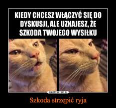 Share a gif and browse these related gif searches. Szkoda Strzepic Ryja Demotywatory Pl