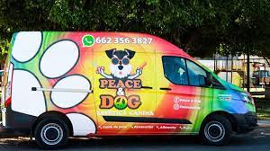 Yered Adapta Una Camioneta Como Estetica Canina A Domicilio El Sol De Hermosillo Noticias Locales Policiacas Sobre Mexico Sonora Y El Mundo