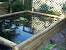 Backyard Fish Tank