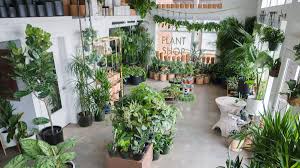 Download them for free in ai or eps format. Plant Shop Seattle