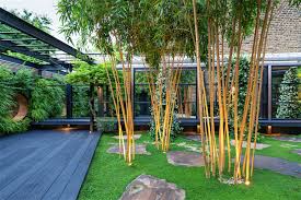 Get latest information on garden design ideas, garden design plans, garden design software, contemporary garden design, small garden design. Society Of Garden Designers Picks Top Design Ideas From 2020 Award Winners Horticulture Week