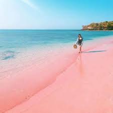The Romantic Pink Beach Of The Komodo Islands Indonesia Steemit In 2021 Pink Sand Beach Places To Travel Komodo Island