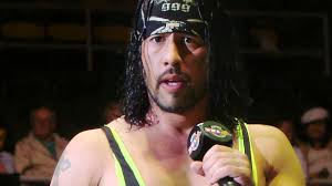 13 Wrestling Legends Share Thoughts