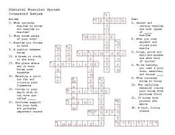 Updated march 2005 by parenting the next generation. Skeletal Muscular System Crossword Puzzle Bju Science 4 By Savannah Drescher