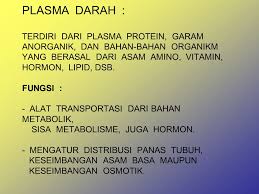 Unsur kimiawi organik protein, lemak, karbohidrat. Darah Dan Sumsum Tulang Ppt Download