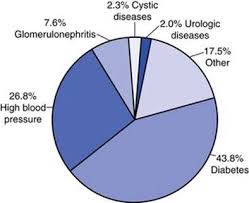 Adults—or about 108 million people—have high blood pressure. Renal Physiology And The Pathology Of Renal Failure Review Of Hemodialysis For Nurses And Dialysis Personnel 8th Edition