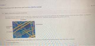 We did not find results for: 18 Of 50 Chapter 4 Tour Of An Animal Cell Structures Chegg Com