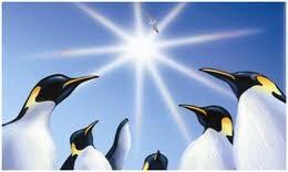 There were 260 penguins in the colony and one of them was fred. Our Iceberg Is Melting Now Where 39 S That Data Scientist