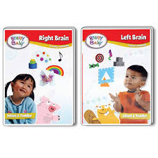 Buy Brainy Baby Right Brain And Left Brain Creative And Logical Thinking Infant Brain Development Set Of 2 Online In Turkey B0052avb60