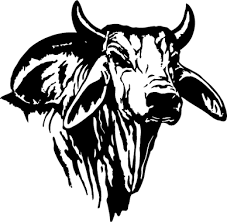 Brangus cattle are a mix of angus and brahman cattle. Pin By Patricia Hiebert On Kunst Ideen Bull Art Drawing Bull Artwork Bull Art In 2021 Bull Artwork Bull Art Drawing Bull Art