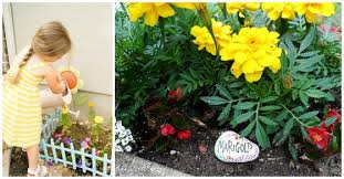 They grow vegetables and fruits. 15 Fun Family Gardening Projects