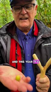 How to take a cutting of a Rose How to take cuttings of hydrangea #cutting  #propergation #plants #plantsplantsplants #plantsmakepeoplehappy  #plantsofinstagram #garden #gardening #gardens #hadrangea🌿🌿🌿  #gardenhacks #gardenhack #rose #rosé #roses #