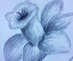 Learn how to draw a daffodil and other flowers and plants with our easy instructions. How To Draw An Easy Daffodil 6 Steps Instructables