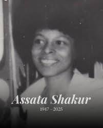 Mike Sheffield (@mikesurefield)