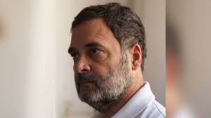 Bankruptcy: A Feast for Lawyers|Sol Stein.