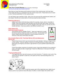 cranial nerve testing and trigeminal handout