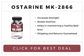 The number of positive tests involving ostarine has increased steadily over the past few years, with wada reporting 28 globally in 2015. Ostarine Review Benefits Side Effects Cycle The Katy News