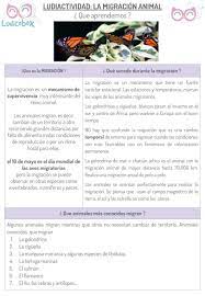 Migracion Animal Como Explicarla A Los Ninos Ludicobox Ninos Actividades Para Ninos Actividades
