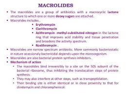 Image result for Extended Spectrum Macrolide