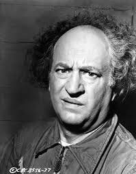 👀 look at Larry's face 👀 А LADYBIRD Mother Finds Larry's Mysterious Sock  มรนล КОООРНЕ O2N