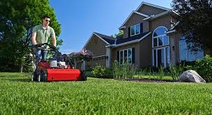 How to overseed your lawn mow the lawn to approx 25mm. When Is The Best Time To Aerate Your Lawn Toro Yard Care Blog