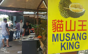 Pesta durian shah alam meriah Kajang Sg Chua Famous Durian Stall Musang King