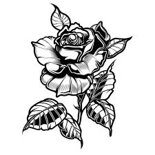 Black And White Rose Transparent Background Vector Tattoo Roses With Leaves On White Background Rose Tattoo Line Png And Vector With Transparent Background For Free Download Rose Tattoos Black Rose Tattoos White Background
