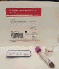 Maybe you would like to learn more about one of these? Diagnosis Of Heartworm Disease Mar Vista Animal Medical Center