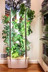 Home Indoor Plants Garden Planning Growing Food