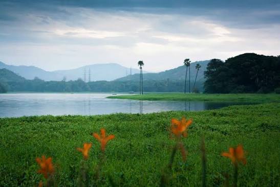 Powai Lake:A Wild Wetland at the Heart of a Mumbai Suburb