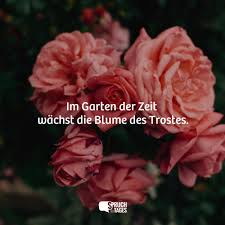 Vögel in unseren gärten lesezeichen & kalender 2022. Im Garten Der Zeit Wachst Die Blume Des Trostes