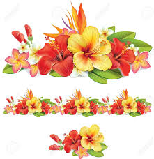 Epingle Par Moods Of Christye Li Sur Work Support Creation Fleurs Hibiscus Hibiscus Fleurs