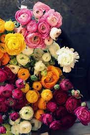Many details are hidden in these adults floral coloring color the beautiful flowers and leaves in this woman's hair. A Cup Of Jo Have A Beautiful Weekend Beautiful Flowers Pretty Flowers Beautiful Blooms