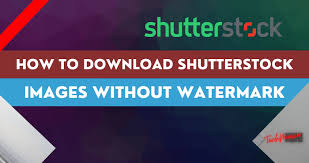 · now click on the signup button and enter your . How To Download Shutterstock Images Without Watermark Techmaina