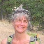 Denise Wild (wilddenise)