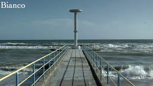 Image result for Bianco Divino 2010 147