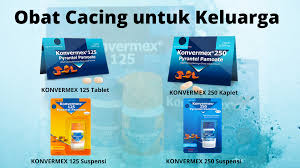 Obat cacing anak maupun obat cacing dewasa saat ini dapat dengan mudah anda temukan di apotek terdekat. Bukan Cuma Anak Orang Dewasa Juga Bisa Cacingan Lho Ibu Segala Tau