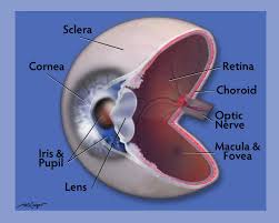 glaucoma columbia ophthalmology