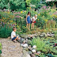 How To Maintain A Landscape Pond Pond Landscaping Pond Maintenance Natural Pond