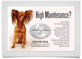 4 paws pet resort activity center. Yellow Page Advertisement For Pet Spa And Resort Pet Spa Pet Resort Pets