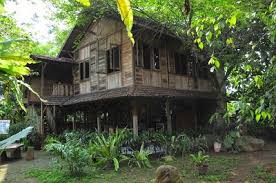 Image result for rumah pohon jati asih