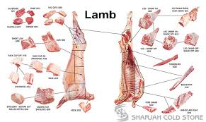 Lamb Mutton Cuts Sharjah Cold Store