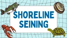 Shoreline Seining at Lake Guntersville State Park