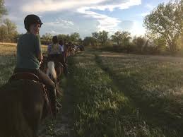 Our new adventure park provides experience for leisure seekers, adrenaline junkies and anyone in between. A Guide To Horseback Riding In Aurora Co Visit Aurora