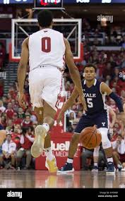 Big shot ivy hi-res stock photography and images