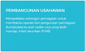 Perbadanan usahawan nasional berhad (punb): Utama