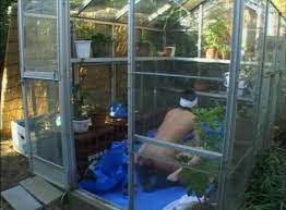 Visitor Q Deconstruyendo A Takashi Miike Asiateca Cine Asiatico Allzine