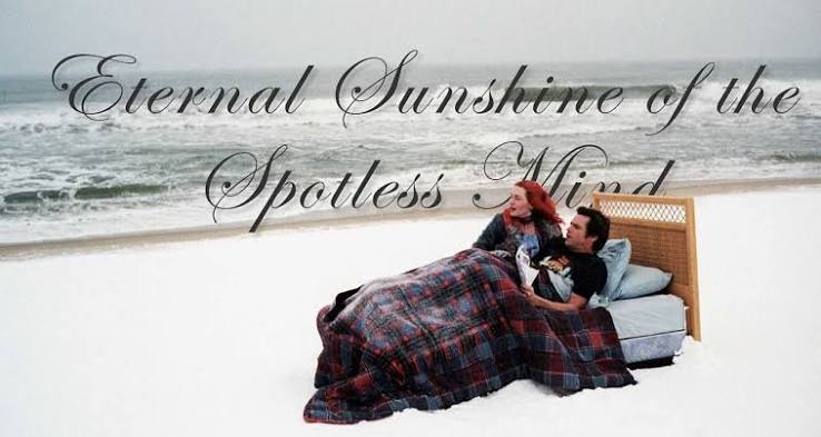 Eternal Sunshine of the Spotless Mind Walkthrough and Explanation - Taylor  Holmes inc.